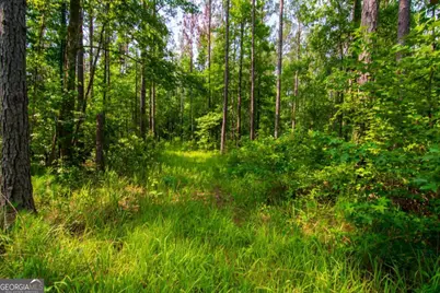0 County Road 0071, Waverly Hall, GA 31831 - Photo 6