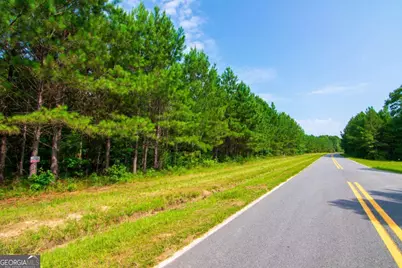 0 County Road 0071, Waverly Hall, GA 31831 - Photo 1