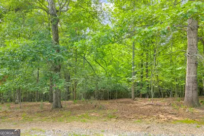 25 Forked Leaf Rd, Cleveland, GA 30528 - Photo 18