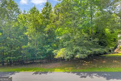 25 Forked Leaf Rd, Cleveland, GA 30528 - Photo 14