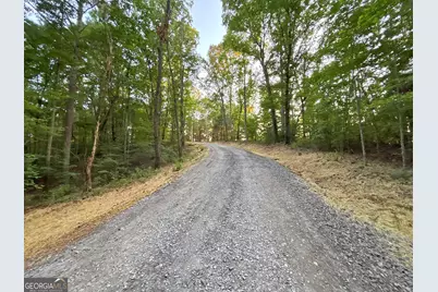 Lot 18 Mt. Springer Road, Ellijay, GA 30540 - Photo 20
