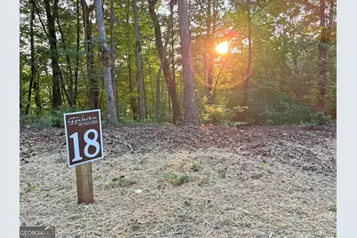 Lot 18 Mt. Springer Road, Ellijay, GA 30540 - Photo 4