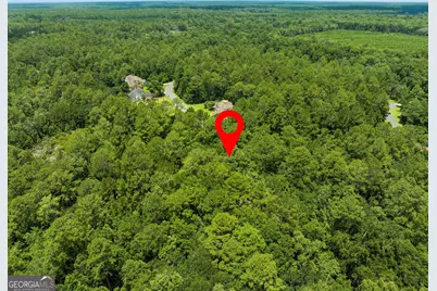 V/L 185 Sunrise Drive, Woodbine, GA 31569 - Photo 12
