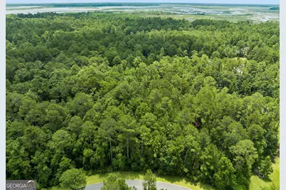 V/L 185 Sunrise Drive, Woodbine, GA 31569 - Photo 4