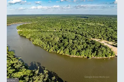 0 Old River Road, Jesup, GA 31545 - Photo 6
