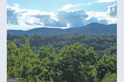 Lot 19 Mt. Springer Road, Ellijay, GA 30540 - Photo 2