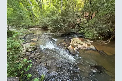 Lot 19 Mt. Springer Road, Ellijay, GA 30540 - Photo 18