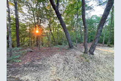 Lot 19 Mt. Springer Road, Ellijay, GA 30540 - Photo 28