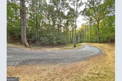 Lot 19 Mt. Springer Road, Ellijay, GA 30540 - Photo 24