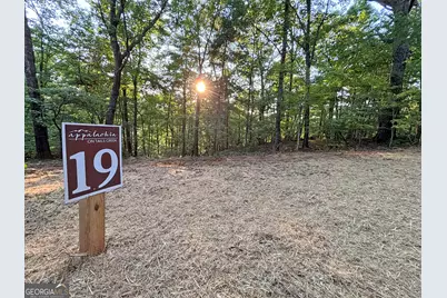 Lot 19 Mt. Springer Road, Ellijay, GA 30540 - Photo 4