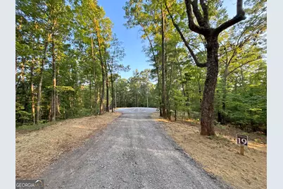 Lot 19 Mt. Springer Road, Ellijay, GA 30540 - Photo 30