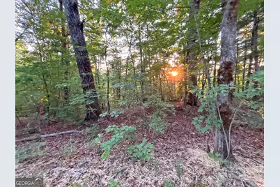 Lot 19 Mt. Springer Road, Ellijay, GA 30540 - Photo 26