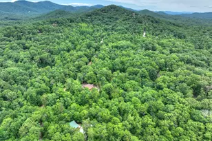 295 Ross Dr, Mineral Bluff, GA 30559 - Photo 32