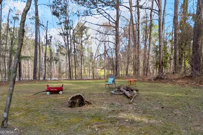 342 Brown Bridge Road, Auburn, GA 30011 - Photo 16