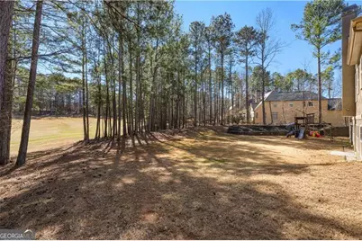 35 Trellis Trace, Newnan, GA 30265 - Photo 76