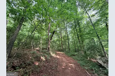 1590 James Adams Road, Danielsville, GA 30633 - Photo 80