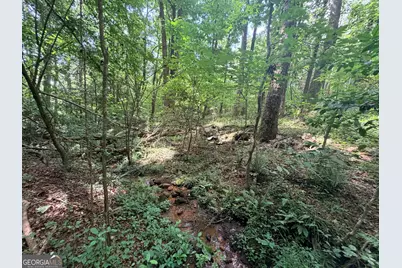 1590 James Adams Road, Danielsville, GA 30633 - Photo 38