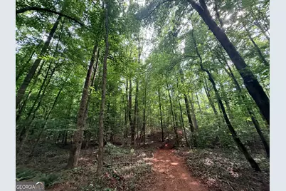 1590 James Adams Road, Danielsville, GA 30633 - Photo 84