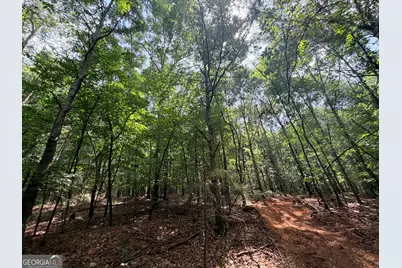 1590 James Adams Road, Danielsville, GA 30633 - Photo 14