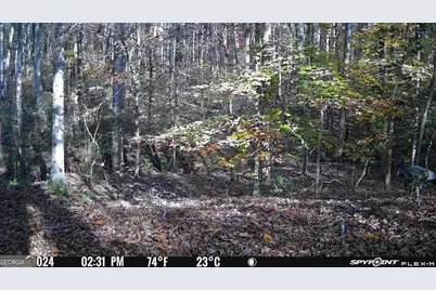 1590 James Adams Road, Danielsville, GA 30633 - Photo 24