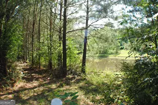 3602 Hwy 41 Hwy N, Resaca, GA 30735 - Photo 4