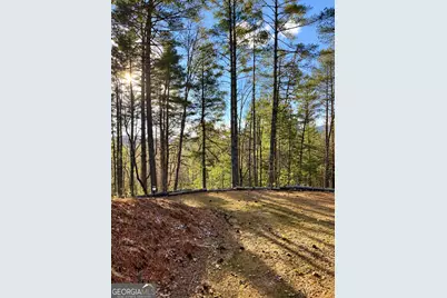73 Jasmin Court #73, Ellijay, GA 30540 - Photo 4