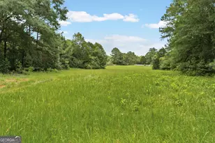 775 Buddy-West Rd, Newnan, GA 30263 - Photo 102