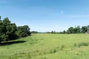 3349 B Scotland Rd, Alamo, GA 30411 - Photo 66
