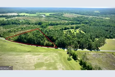 3349 B Scotland Road, Alamo, GA 30411 - Photo 2