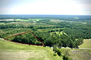 3349 B Scotland Rd, Alamo, GA 30411 - Photo 2