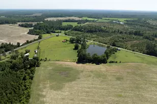 3349 B Scotland Rd, Alamo, GA 30411 - Photo 56