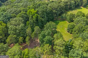 388 Kay Dr, Hartwell, GA 30643 - Photo 34
