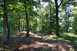108 Windy Point N, Townville, SC 29689 - Photo 50