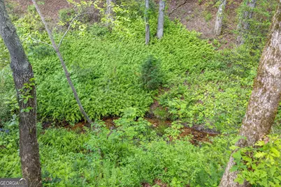 135 Mountain Ridge Drive, Clarkesville, GA 30523 - Photo 54