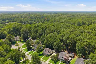 105 Cottage Ct, Richmond Hill, GA 31324 - Photo 42