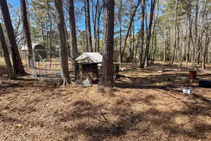 478 Liberty Hill Rd, Milner, GA 30257 - Photo 22