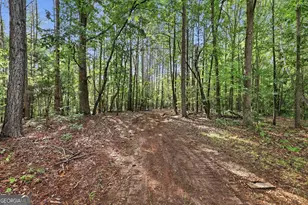 65 Watson Rd, Martin, GA 30557 - Photo 48
