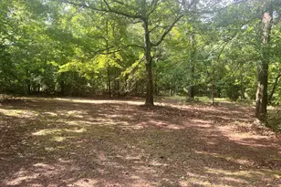 3115 East Fairview Rd, McDonough, GA 30252 - Photo 68