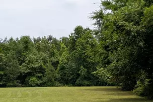 3115 East Fairview Rd, McDonough, GA 30252 - Photo 58