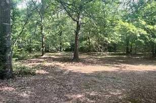 3115 East Fairview Rd, McDonough, GA 30252 - Photo 74
