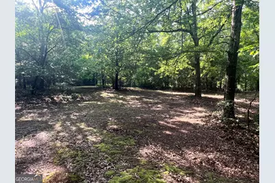 3115 East Fairview Rd, McDonough, GA 30252 - Photo 70