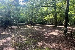 3115 East Fairview Rd, McDonough, GA 30252 - Photo 70