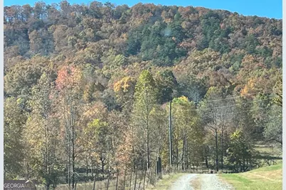 00 Freeman View Trail #LOT 2, Cleveland, GA 30528 - Photo 20