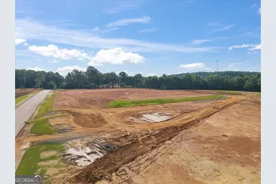 Lot 11 Town Creek Boulevard, Greensboro, GA 30642 - Photo 10
