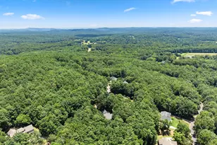 746 Plum Ln, Clarkesville, GA 30523 - Photo 56