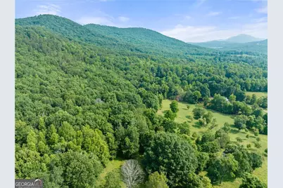 0 Freeman View Trail #LOT 4, Cleveland, GA 30528 - Photo 2