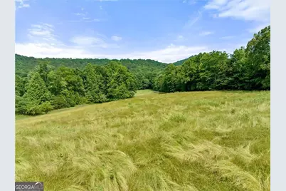 0 Freeman View Trail #LOT 4, Cleveland, GA 30528 - Photo 4