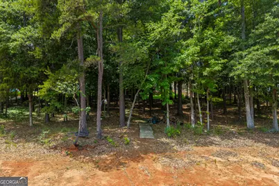 540 Capri Point, Lavonia, GA 30553 - Photo 56