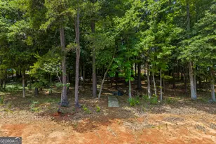 540 Capri Point, Lavonia, GA 30553 - Photo 56