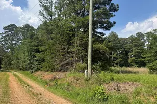 112 Melrose Rd, Bowdon, GA 30108 - Photo 16